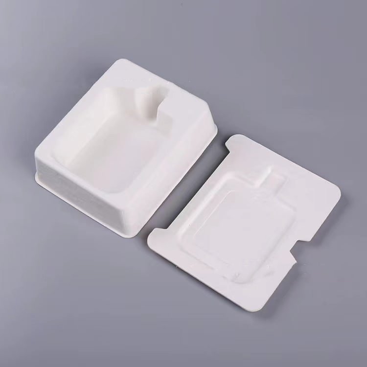 molded pulp packaging2