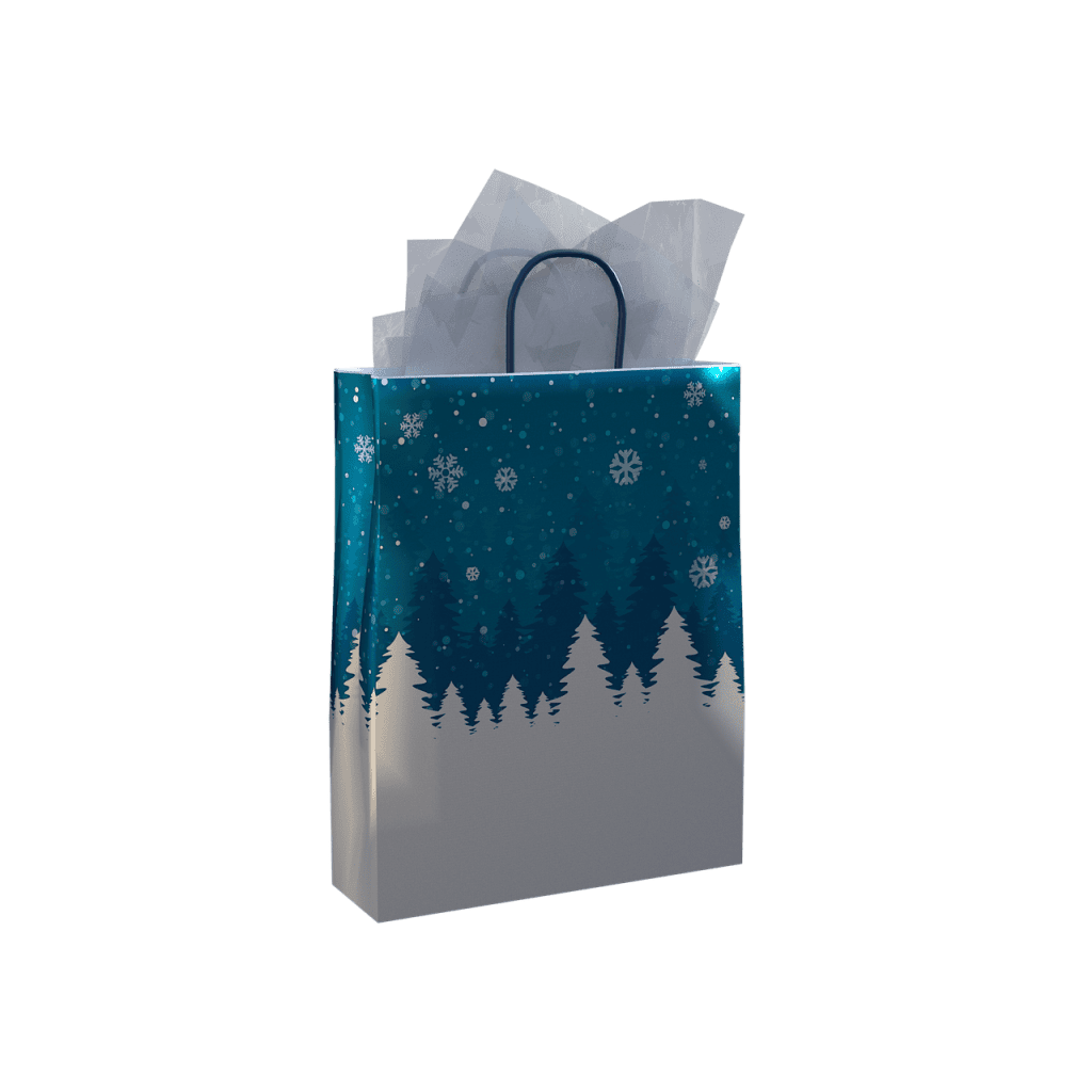 gift bag, paper, handle-4724437.jpg